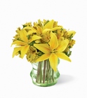 /images/ftd09white/ECO^1lg.jpg Go Green Bouquet